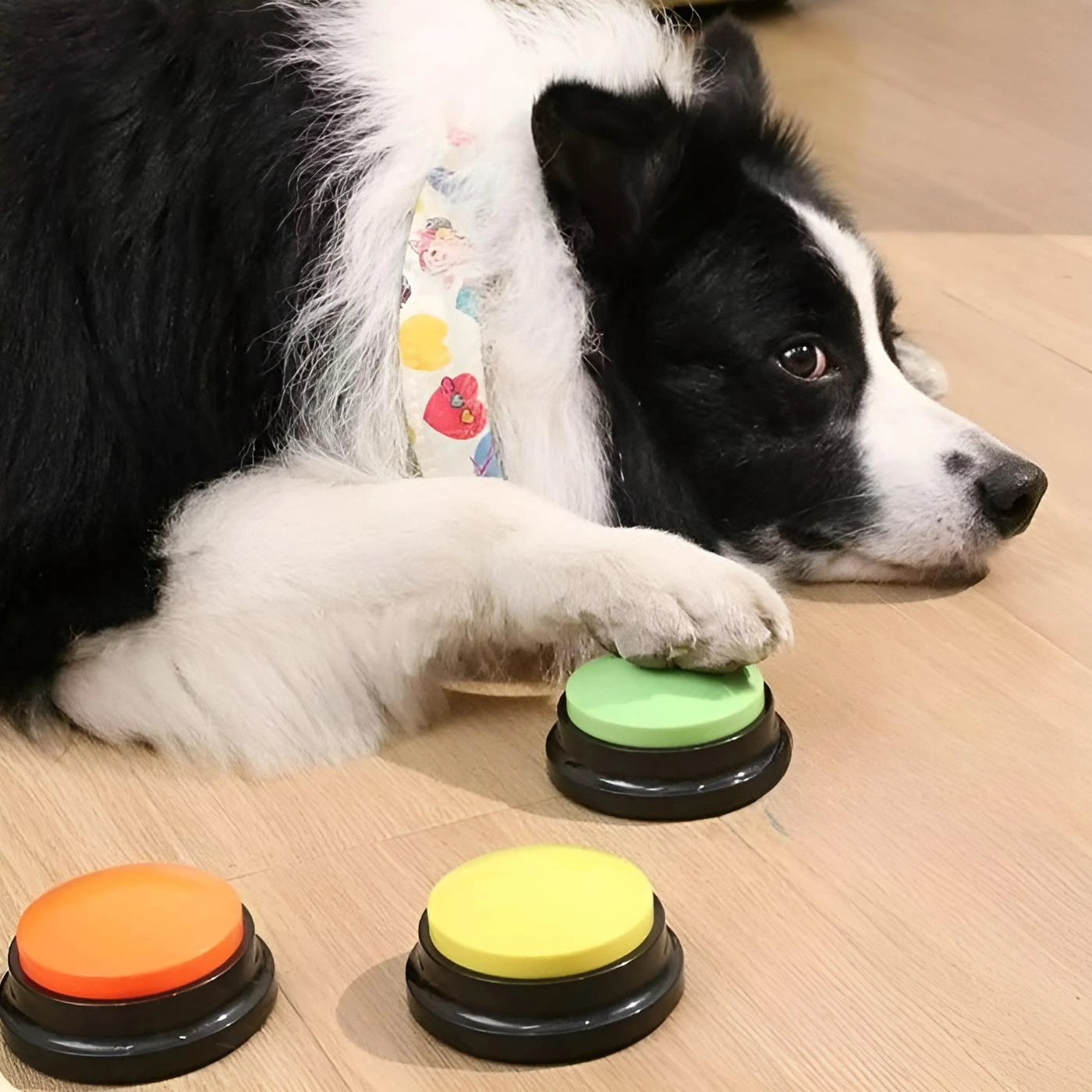 Интерактивная кнопка для общения с собакой и кошкой картинка