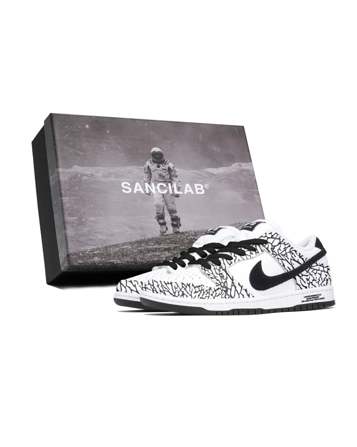 Nike Dunk SB LOW PRO 'White Suede/Black' унисекс кроссовки с принтом из замши картинка