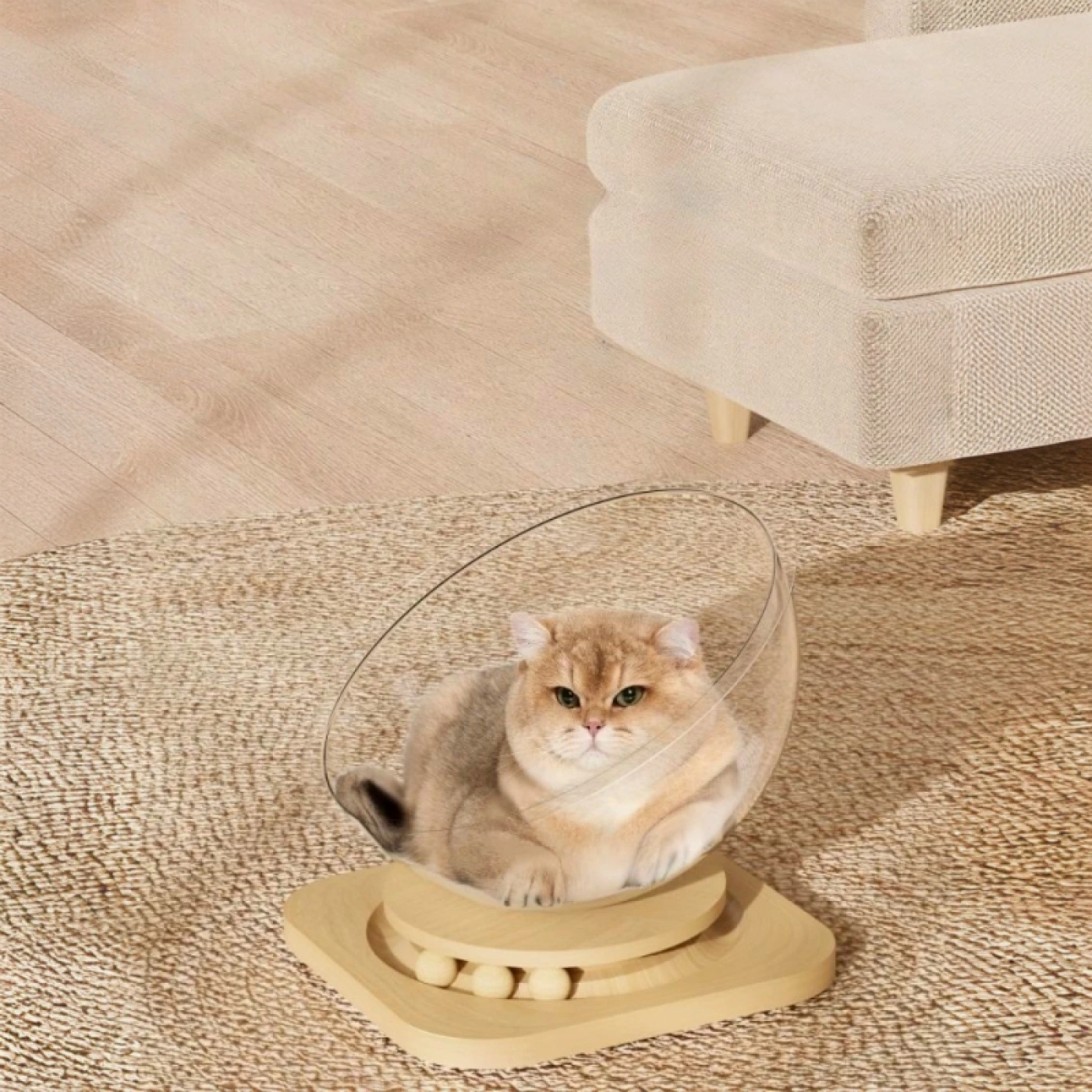 Кошачья кровать в виде космической капсулы картинка