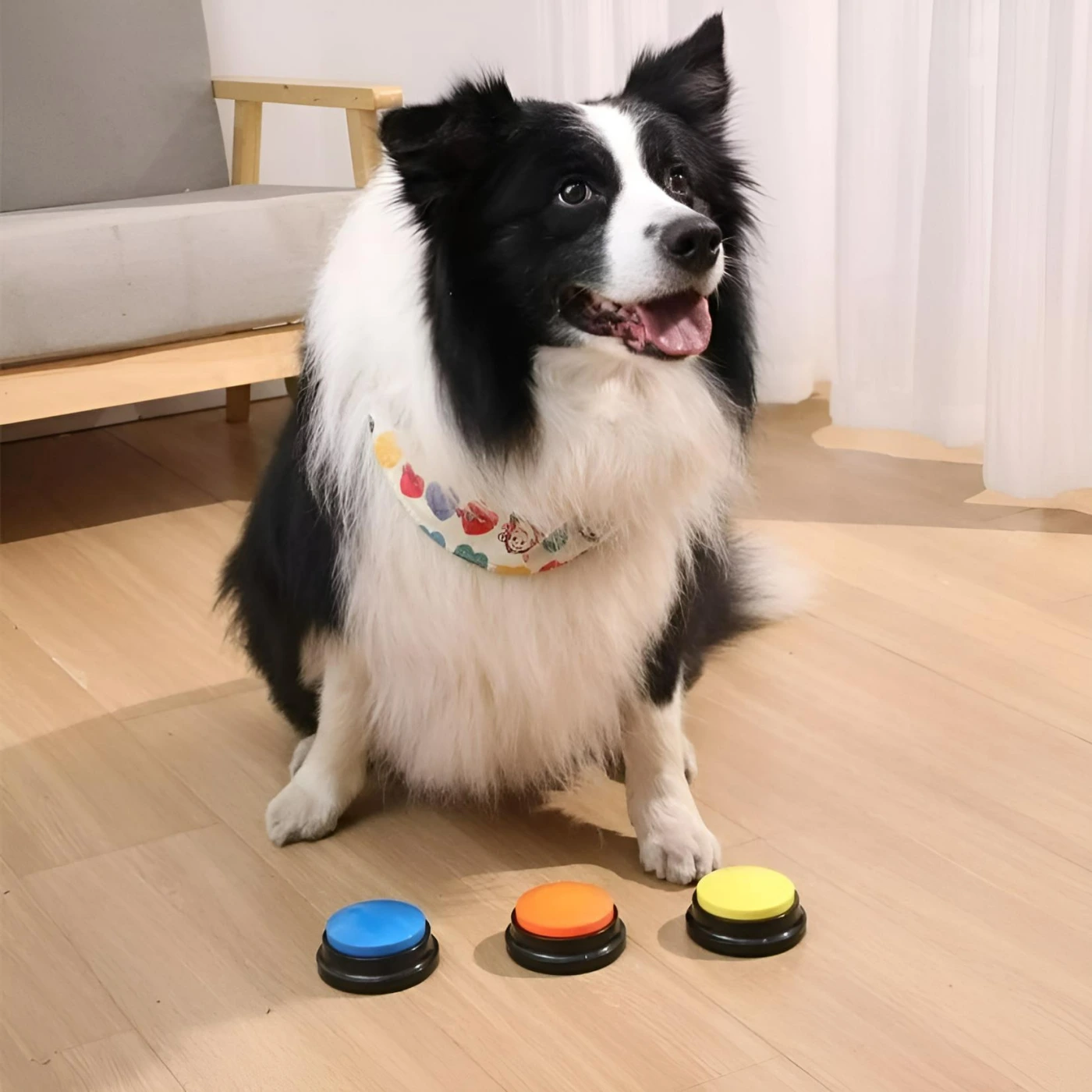 Интерактивная кнопка для общения с собакой и кошкой картинка